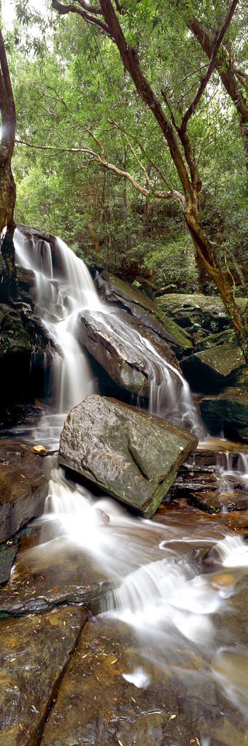 Caressing Waters