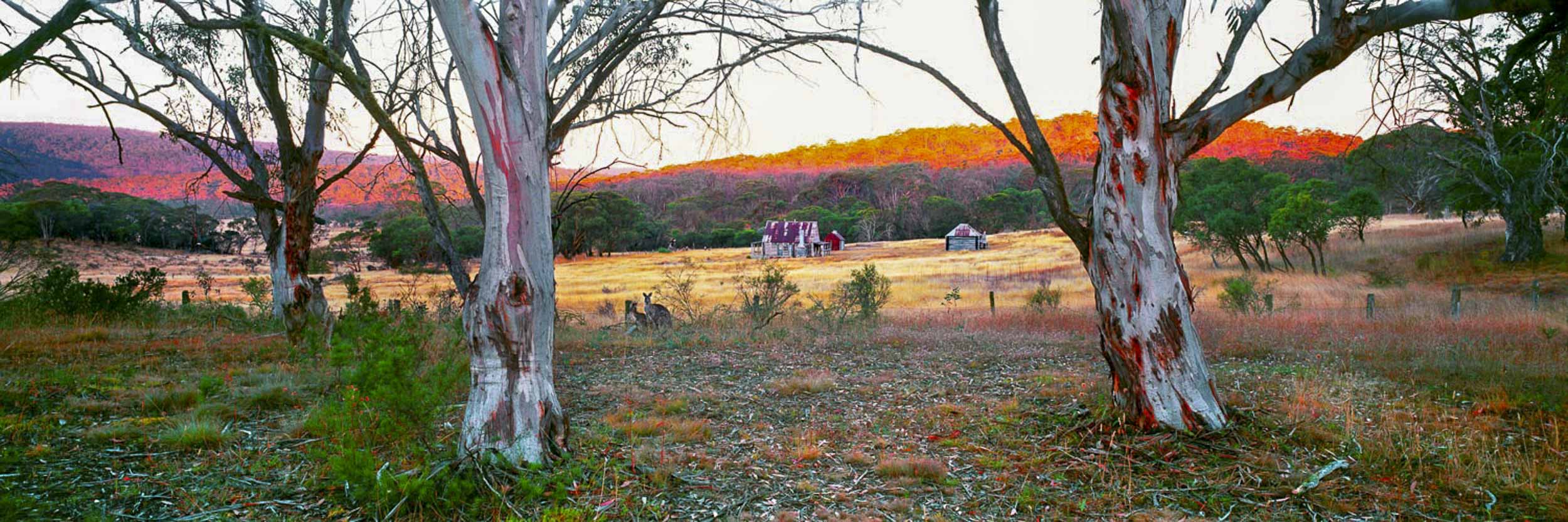 Classic Australia