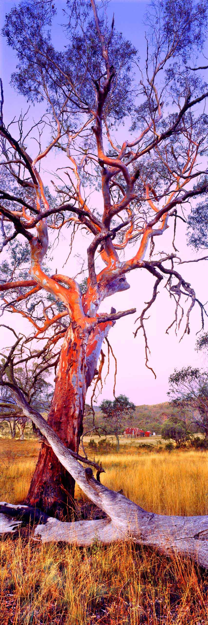 Settler's Rest, NSW