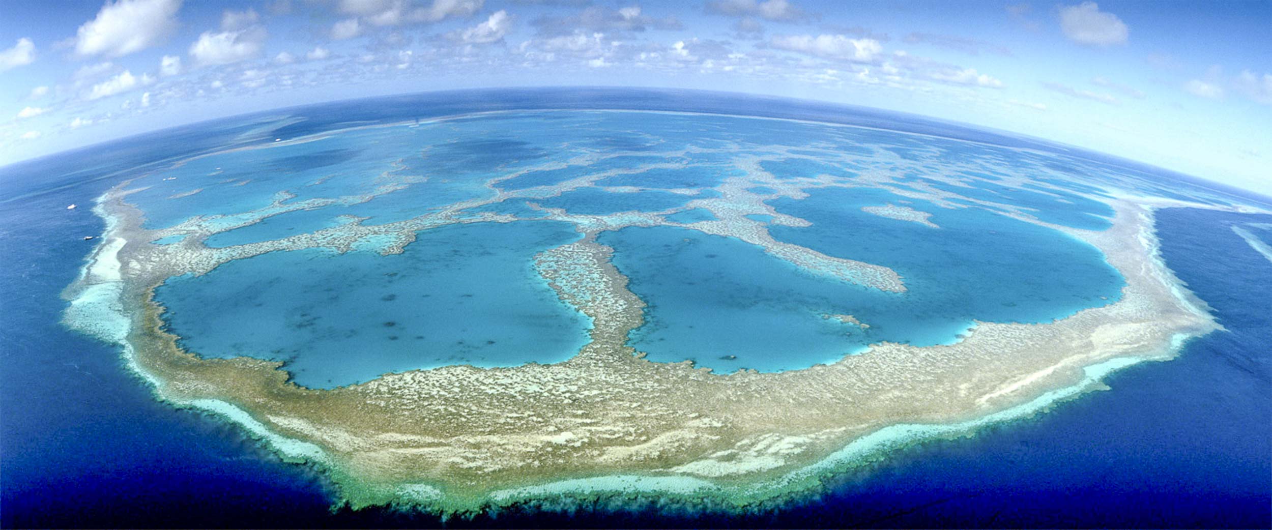 Hook Reef, Qld
