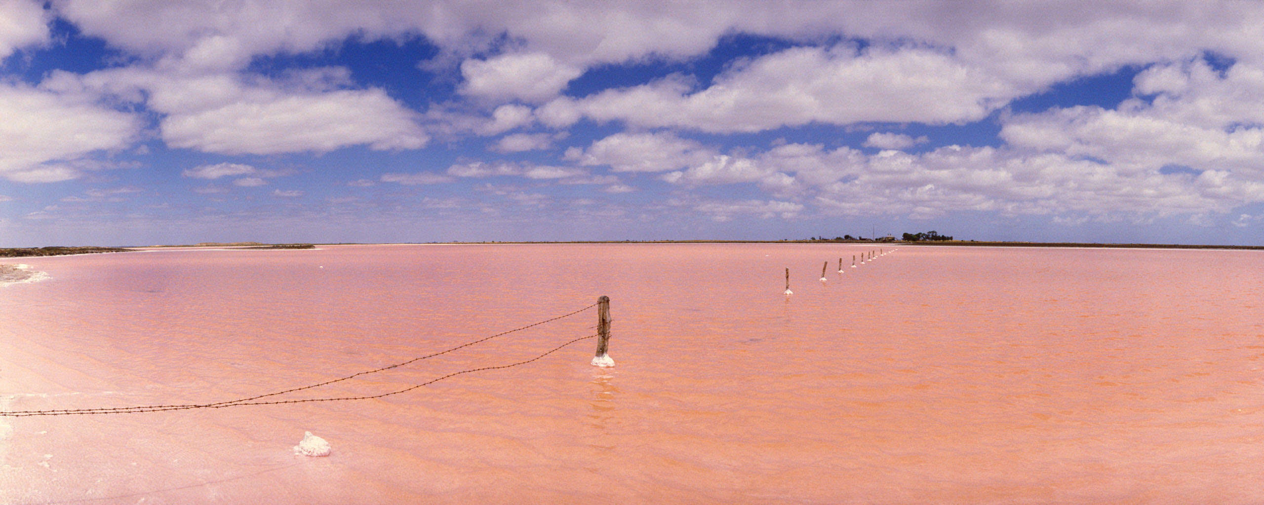 Pink Lake, Tailem Bend, SA